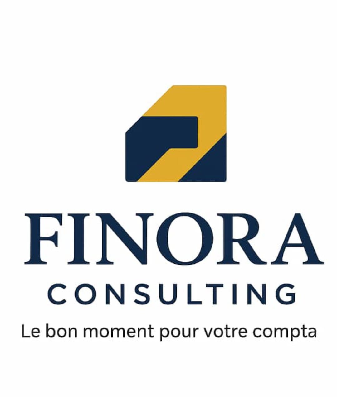 FINORA CONSULTING SARL U